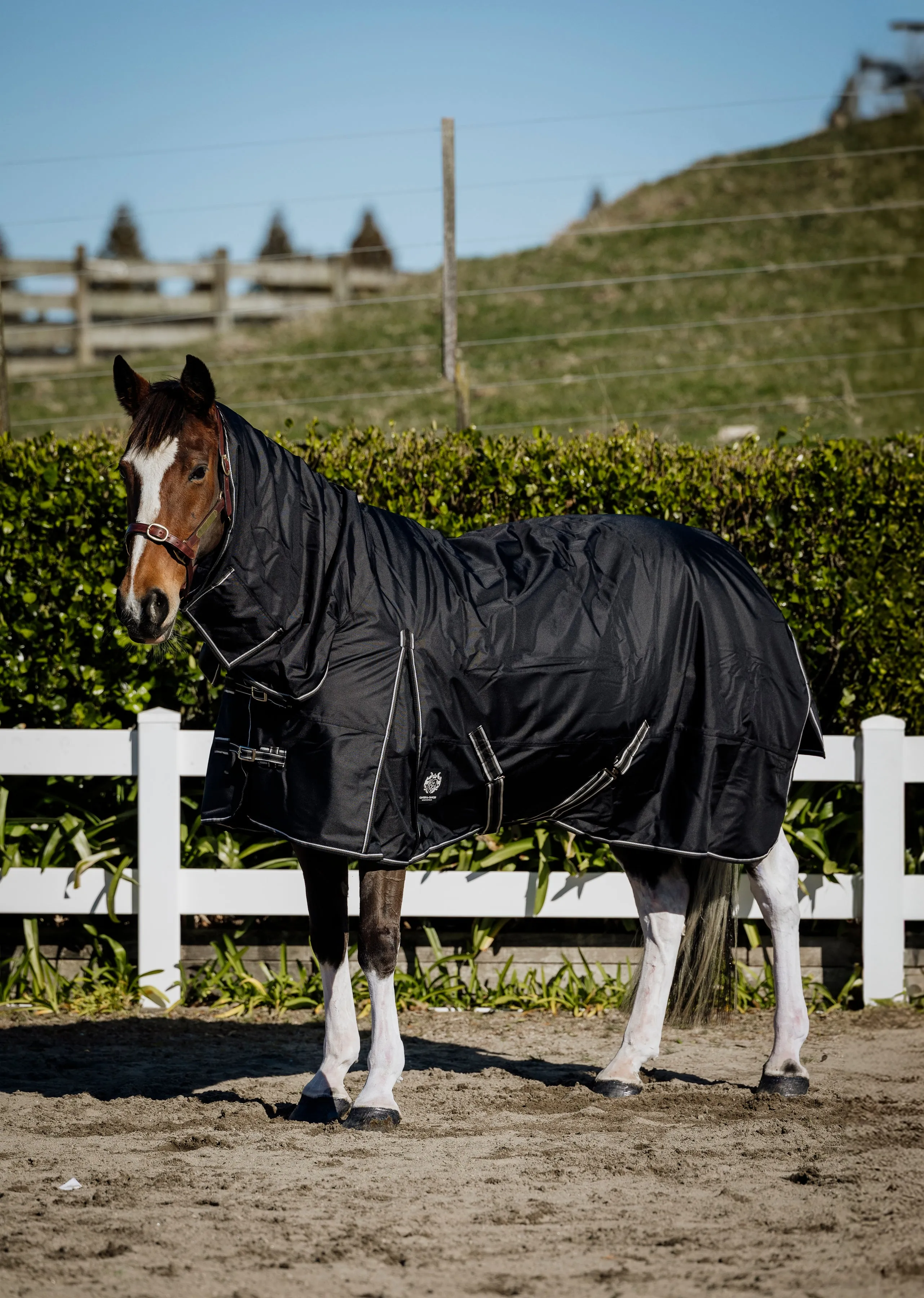 1680D 300g Black Combo (Pony)