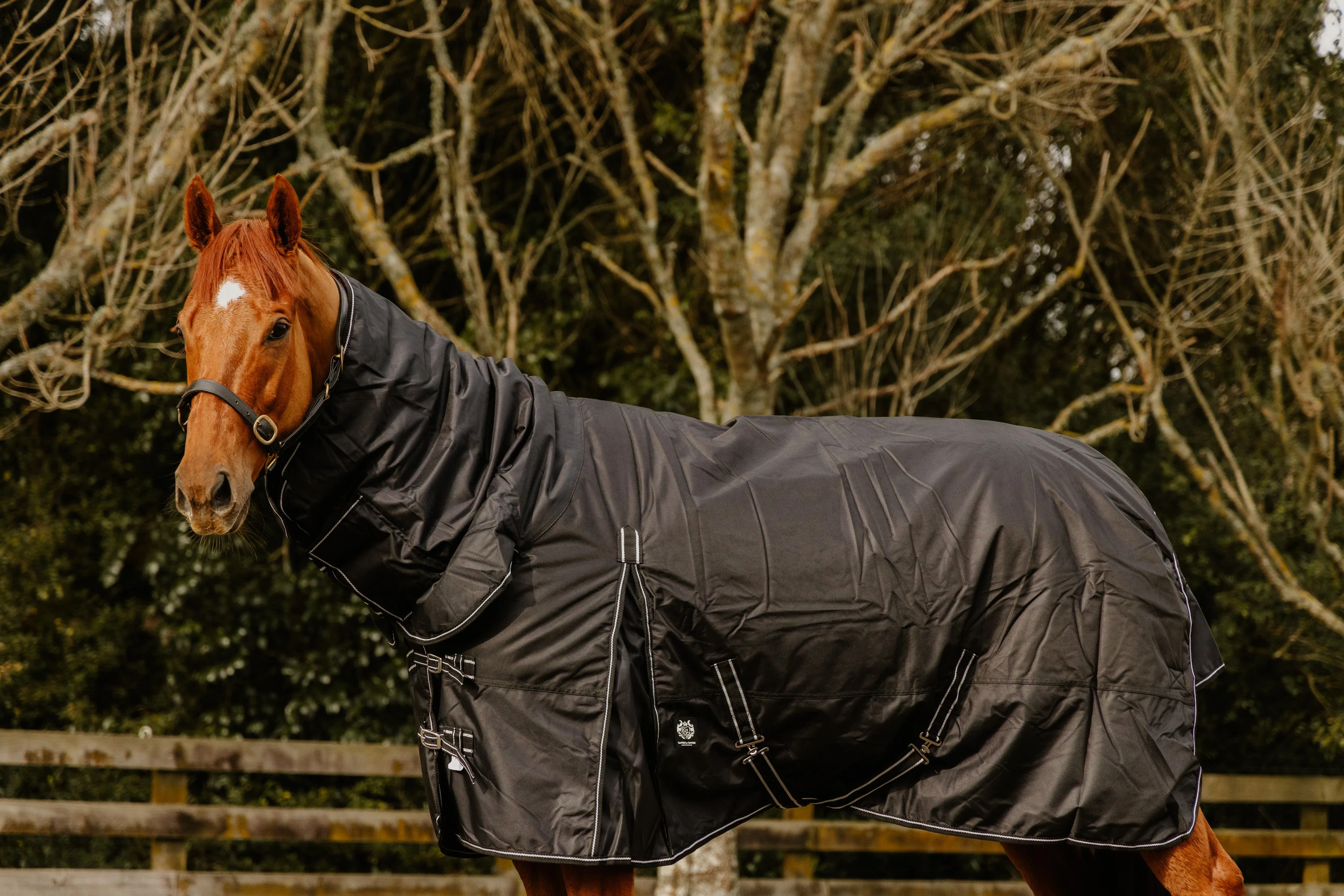 1680D 300g Black Combo (Pony)