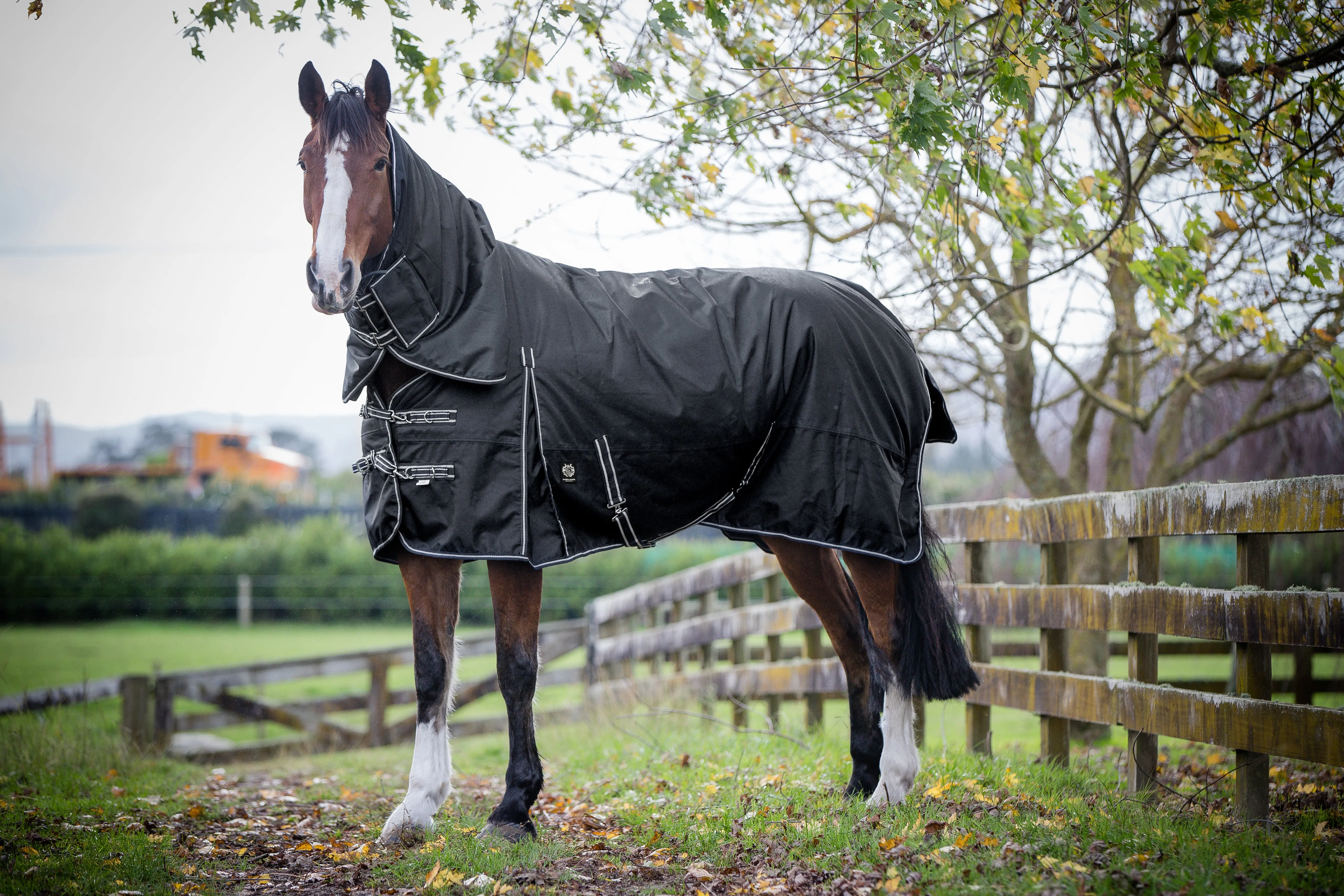 1680D 300g Black Combo (Pony)
