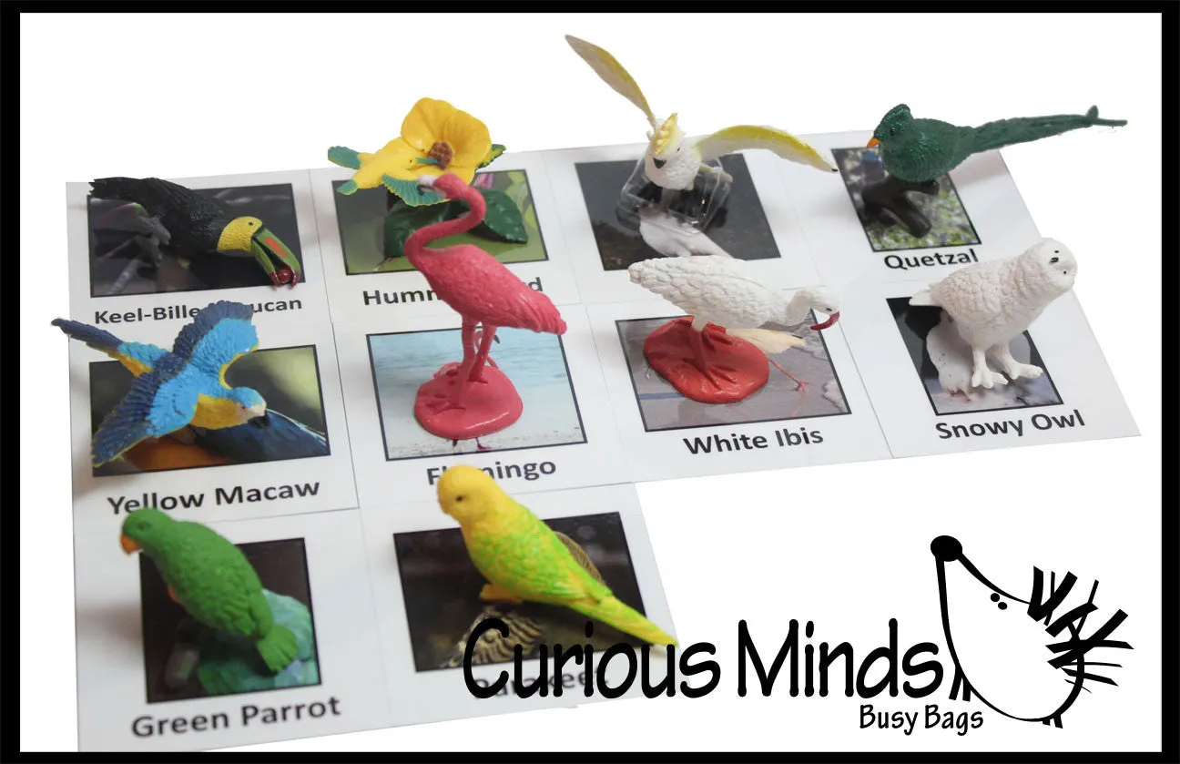Animal Match - EXOTIC TROPICAL BIRDS - Miniature Animals with Matching Cards - 2 Part Cards.  Montessori learning toy, language materials