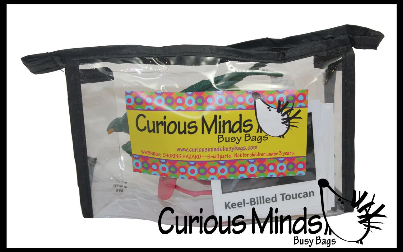 Animal Match - EXOTIC TROPICAL BIRDS - Miniature Animals with Matching Cards - 2 Part Cards.  Montessori learning toy, language materials