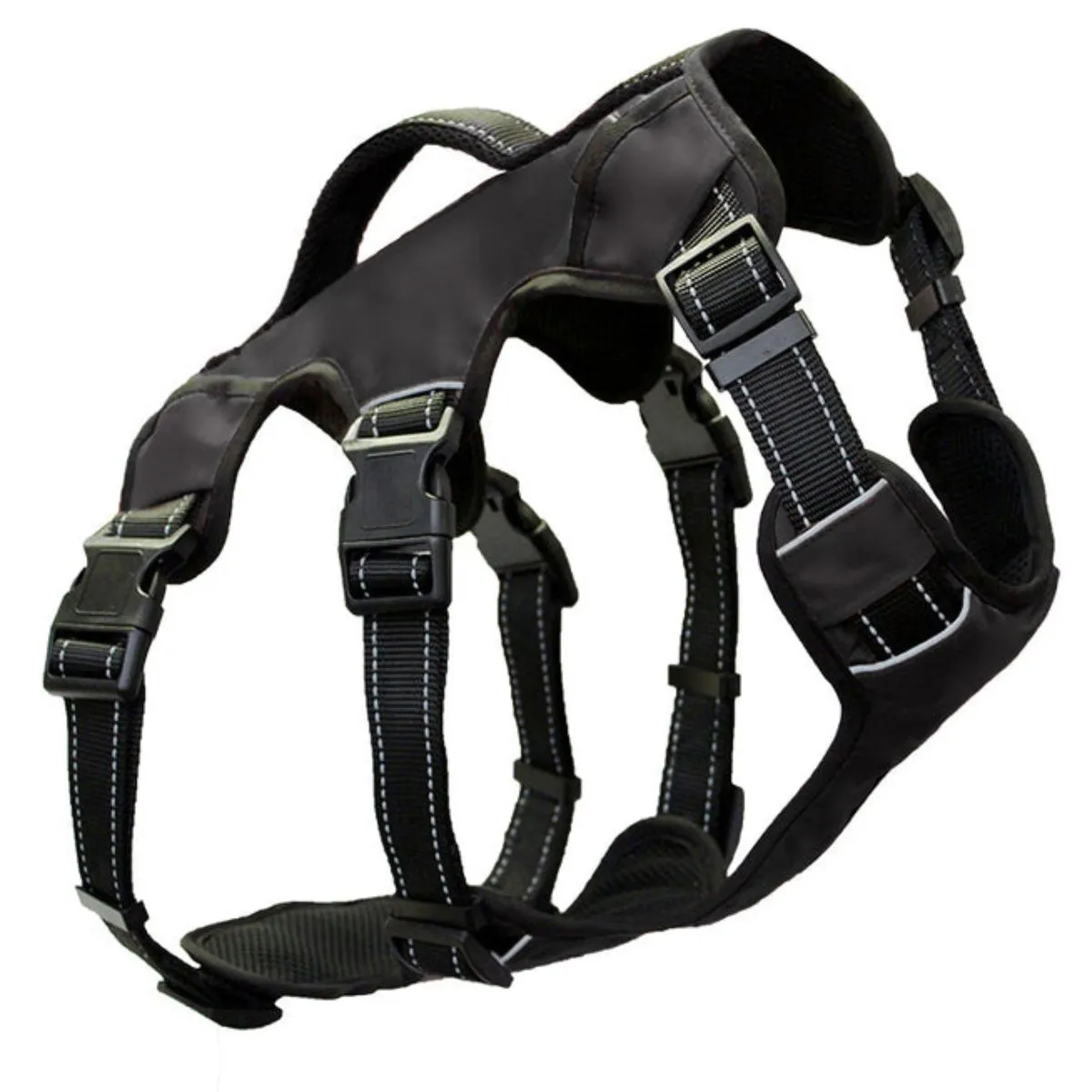 Bay Dog Saranac Saranac Dog Backpack Black Medium