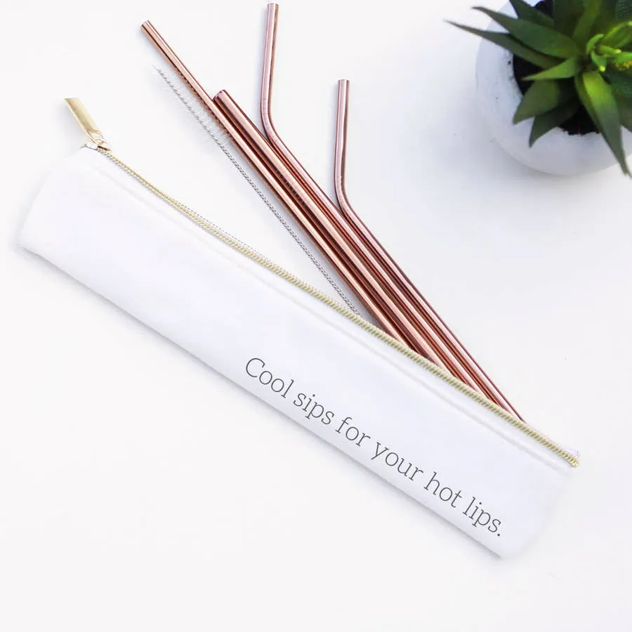 Cool Sips Stainless Steel Metal Straw Set