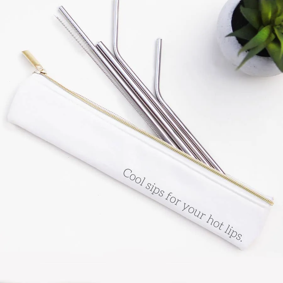 Cool Sips Stainless Steel Metal Straw Set