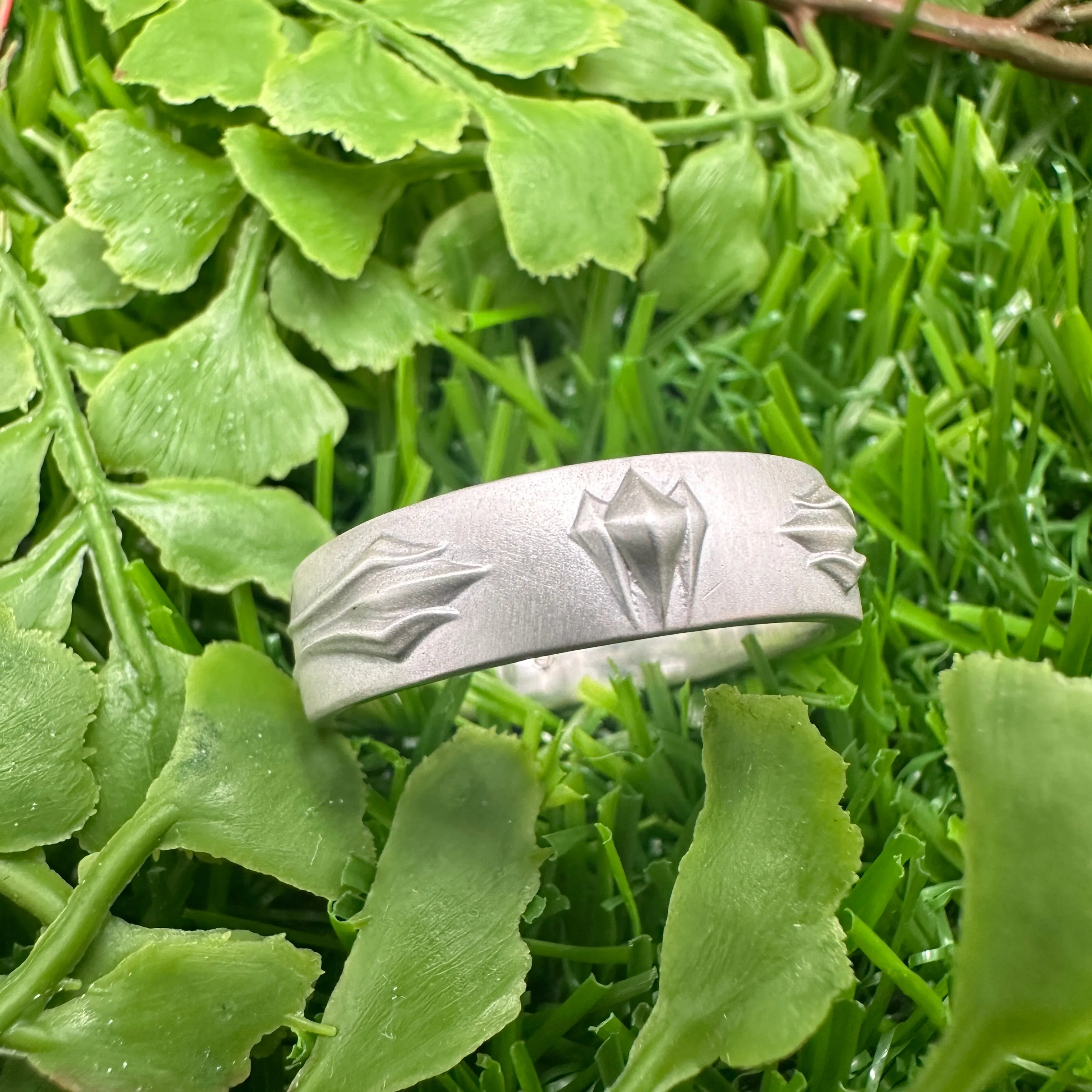 Hidden World Ring