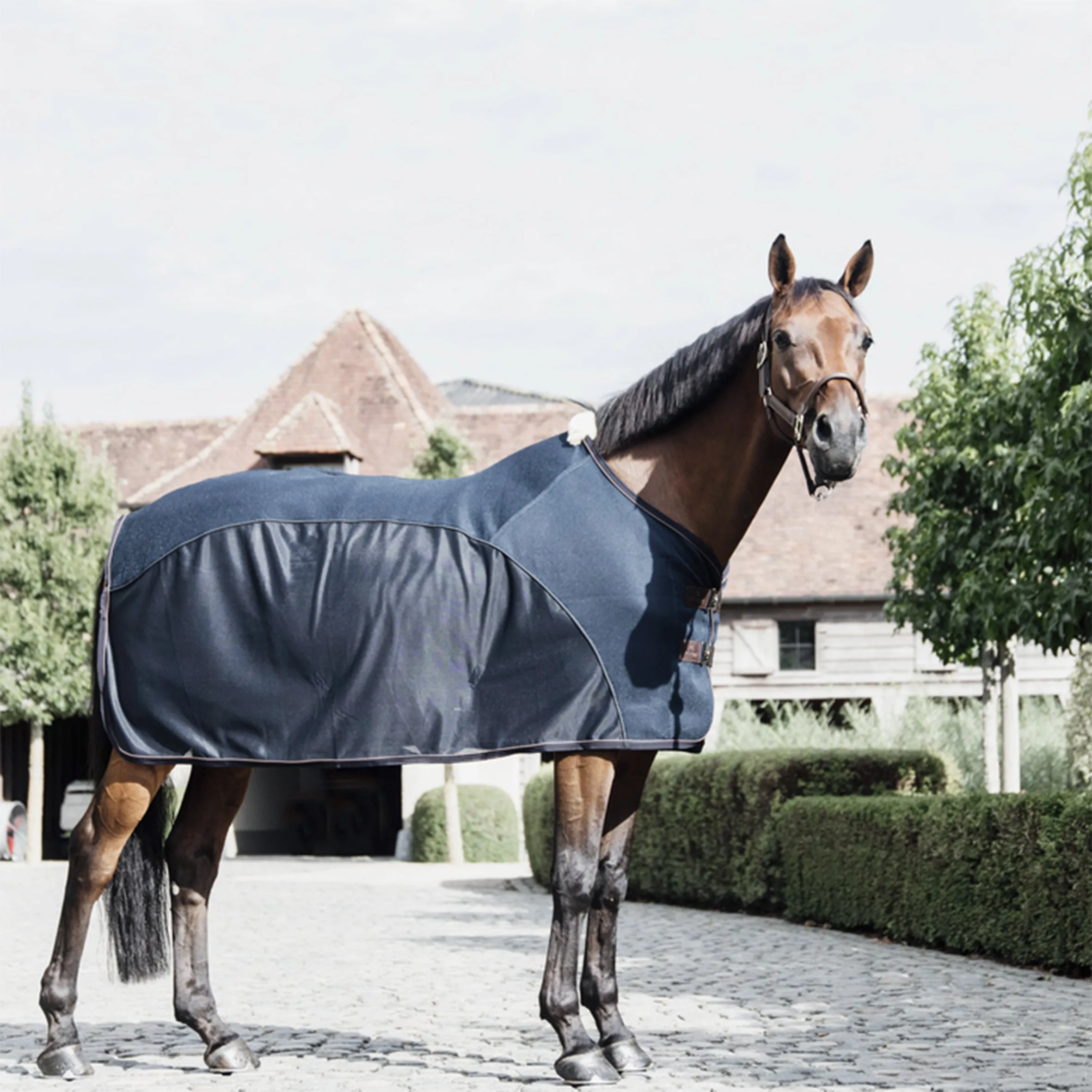 Mesh Combo Cooler Sheet