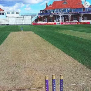 Premium Cricket Squares Grass Seed 20kg