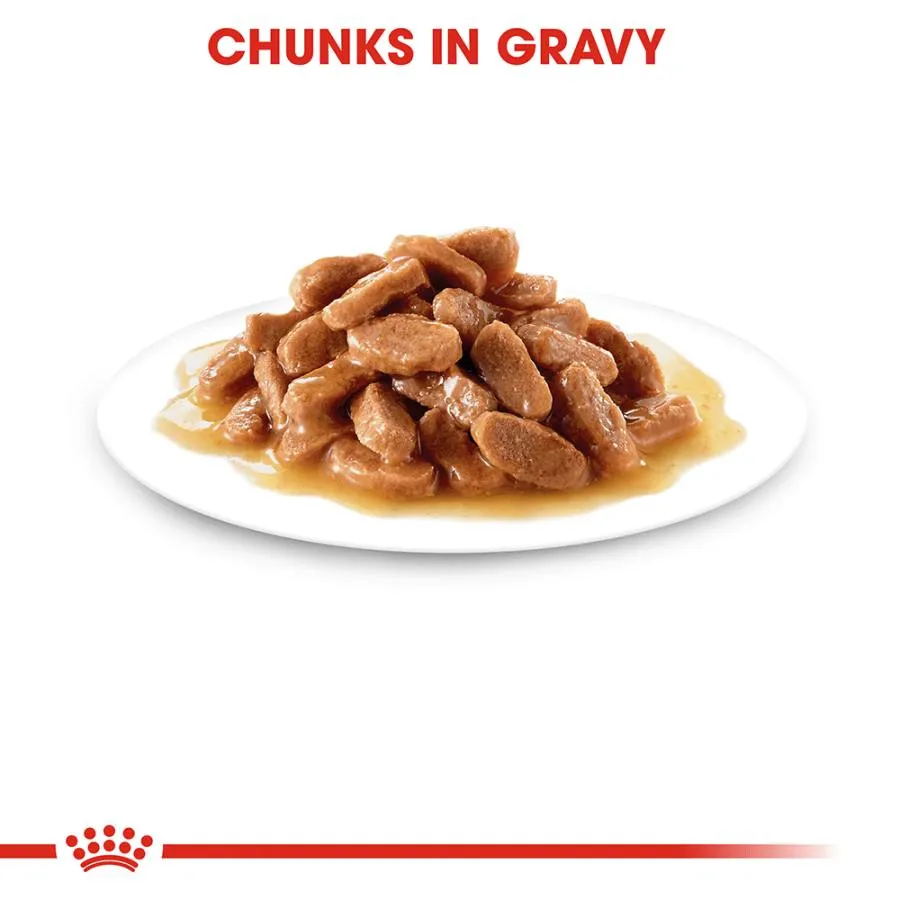 Royal Canin Kitten Instinctive in Gravy