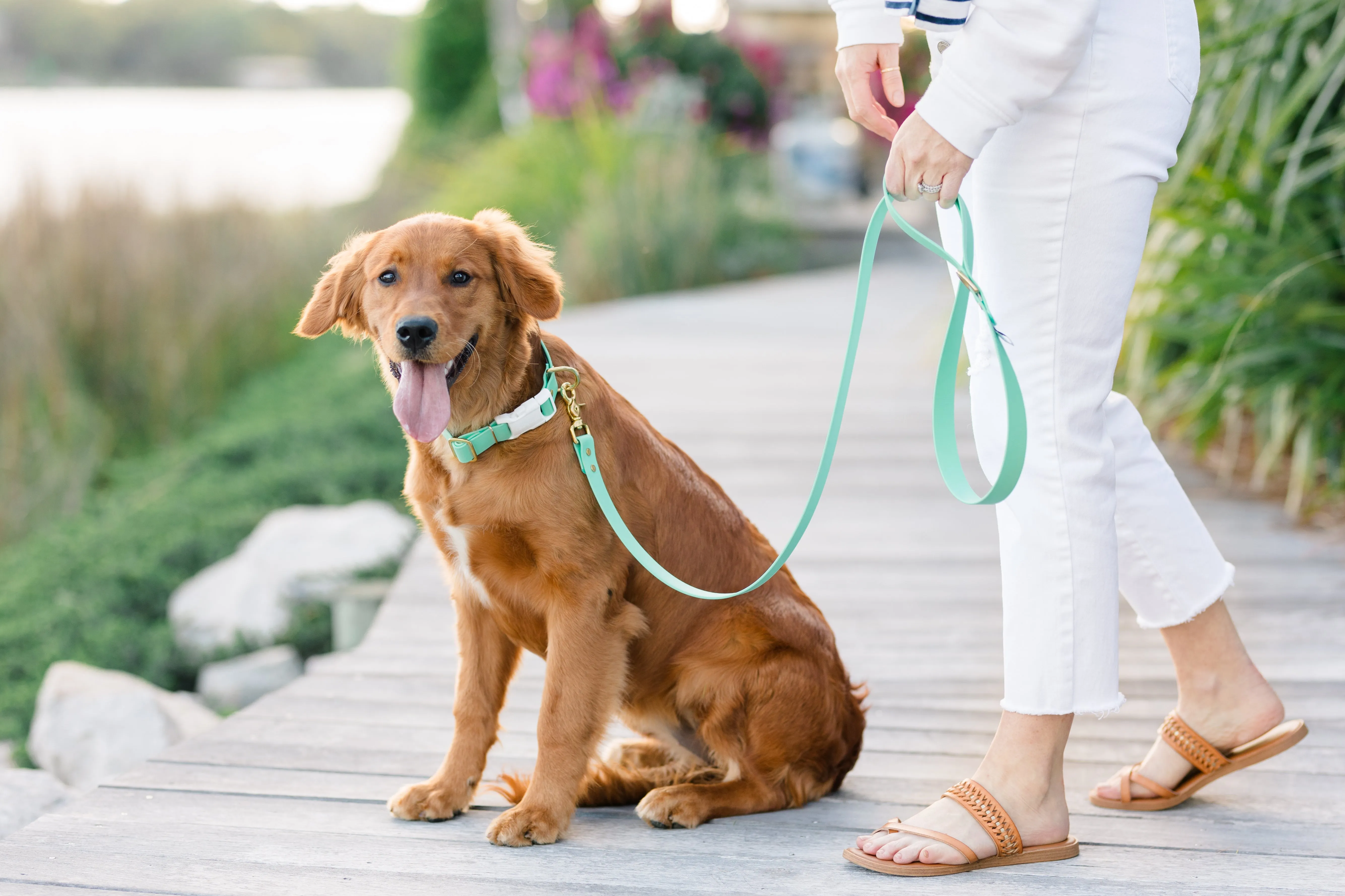 Seafoam Biothane 5' Leash